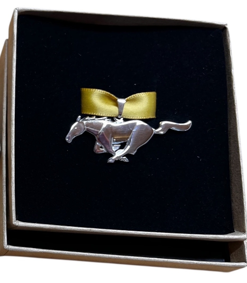 Iso Mustang -riipus