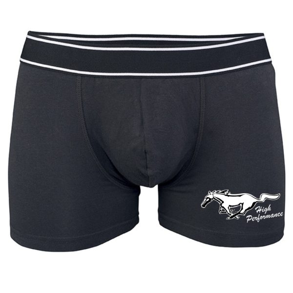 Boxerit High Performance logolla